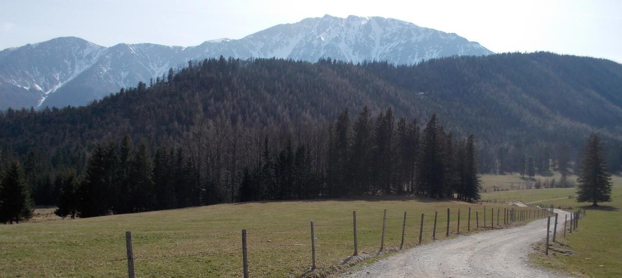Ferienwohnungen Mamauwiese Gutenstein Buitenkant foto