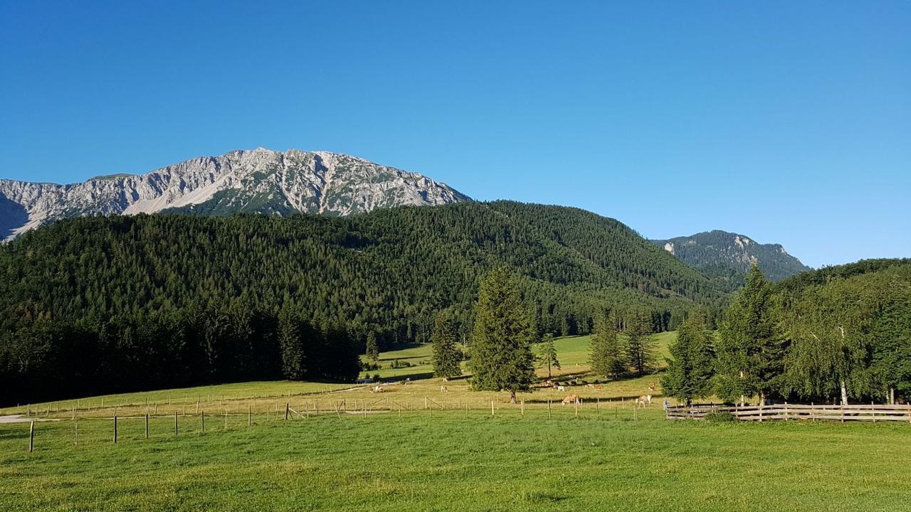 Ferienwohnungen Mamauwiese Gutenstein Buitenkant foto