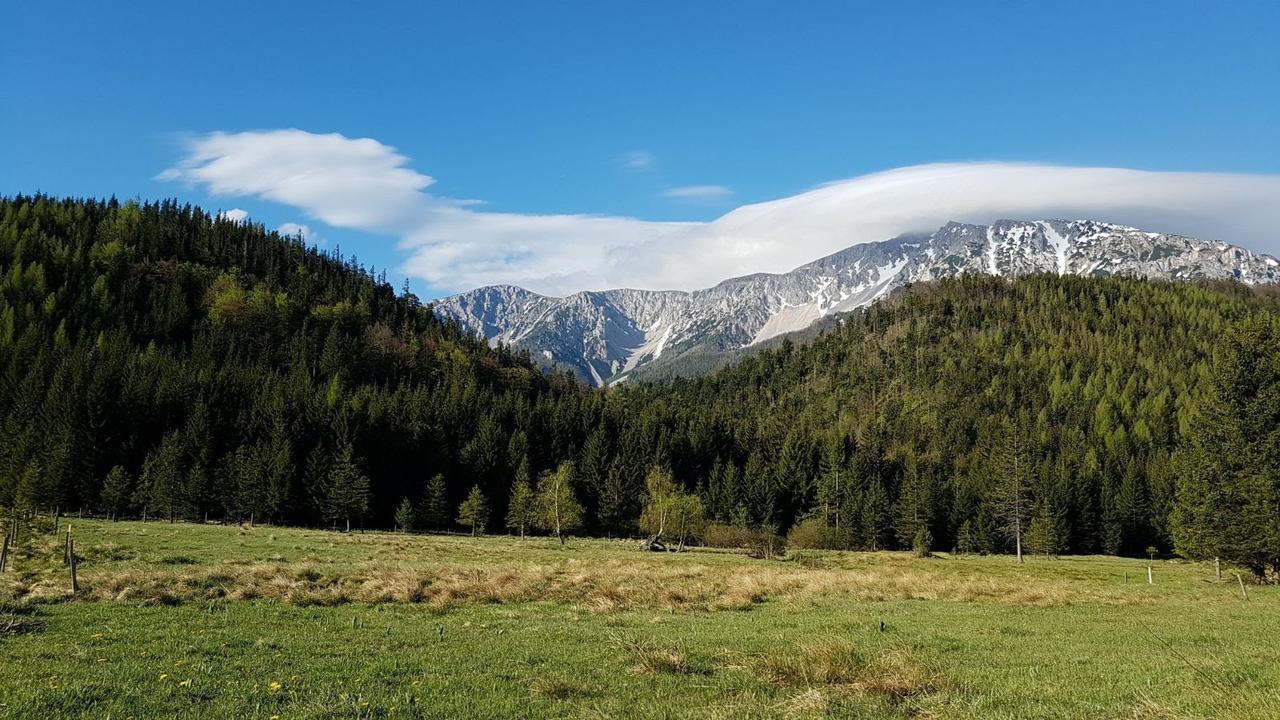 Ferienwohnungen Mamauwiese Gutenstein Buitenkant foto