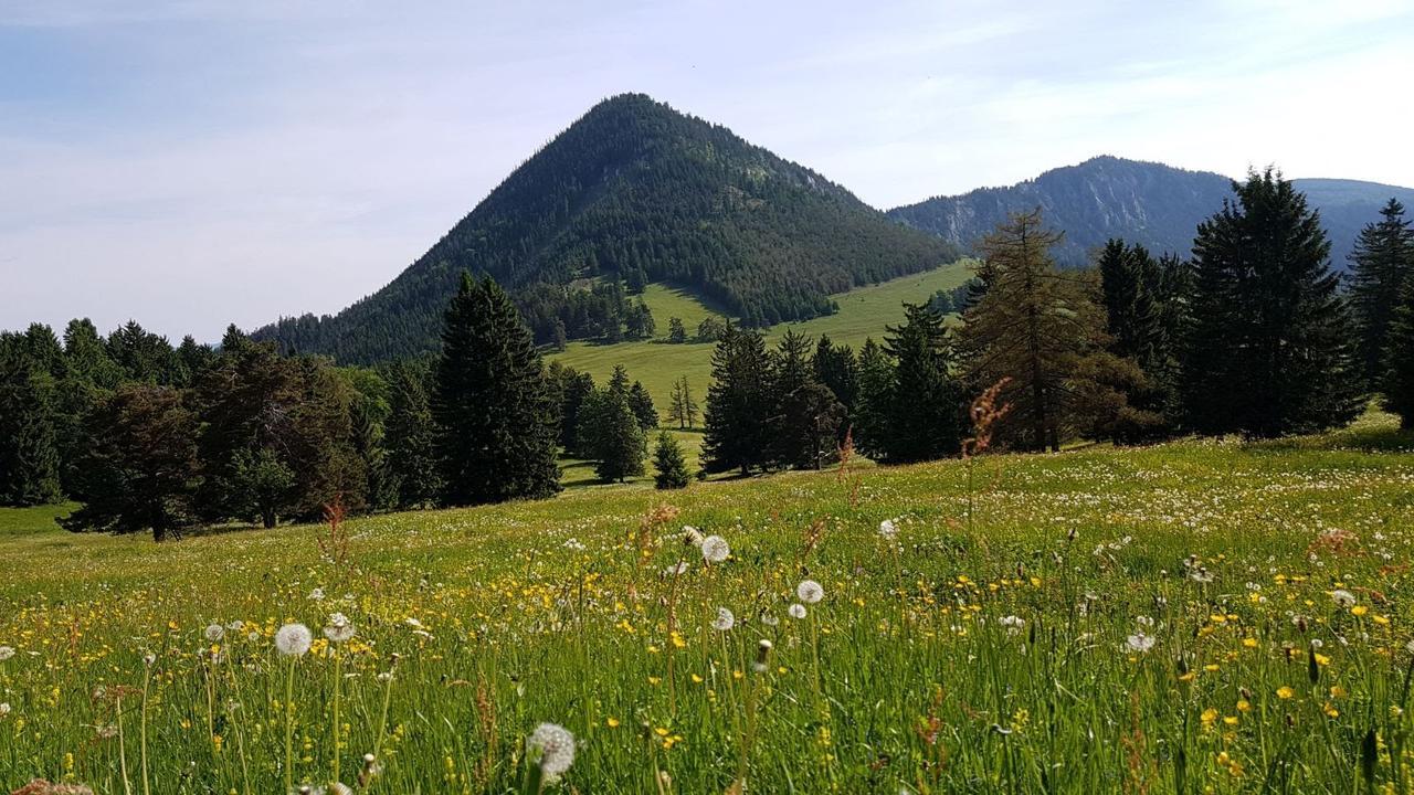 Ferienwohnungen Mamauwiese Gutenstein Buitenkant foto