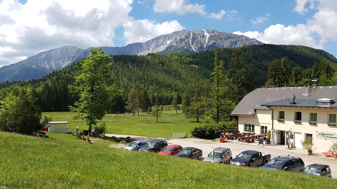 Ferienwohnungen Mamauwiese Gutenstein Buitenkant foto