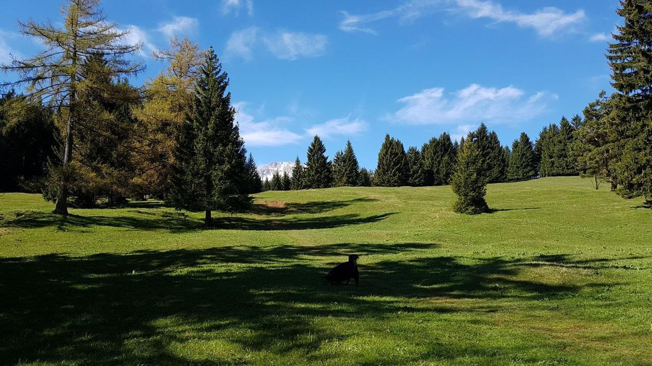 Ferienwohnungen Mamauwiese Gutenstein Buitenkant foto