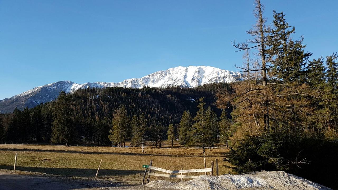 Ferienwohnungen Mamauwiese Gutenstein Buitenkant foto